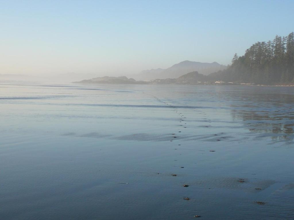 203 At Water'S Edge Ucluelet Exterior foto
